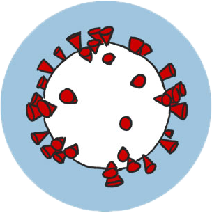mRNA պատվաստանյութ